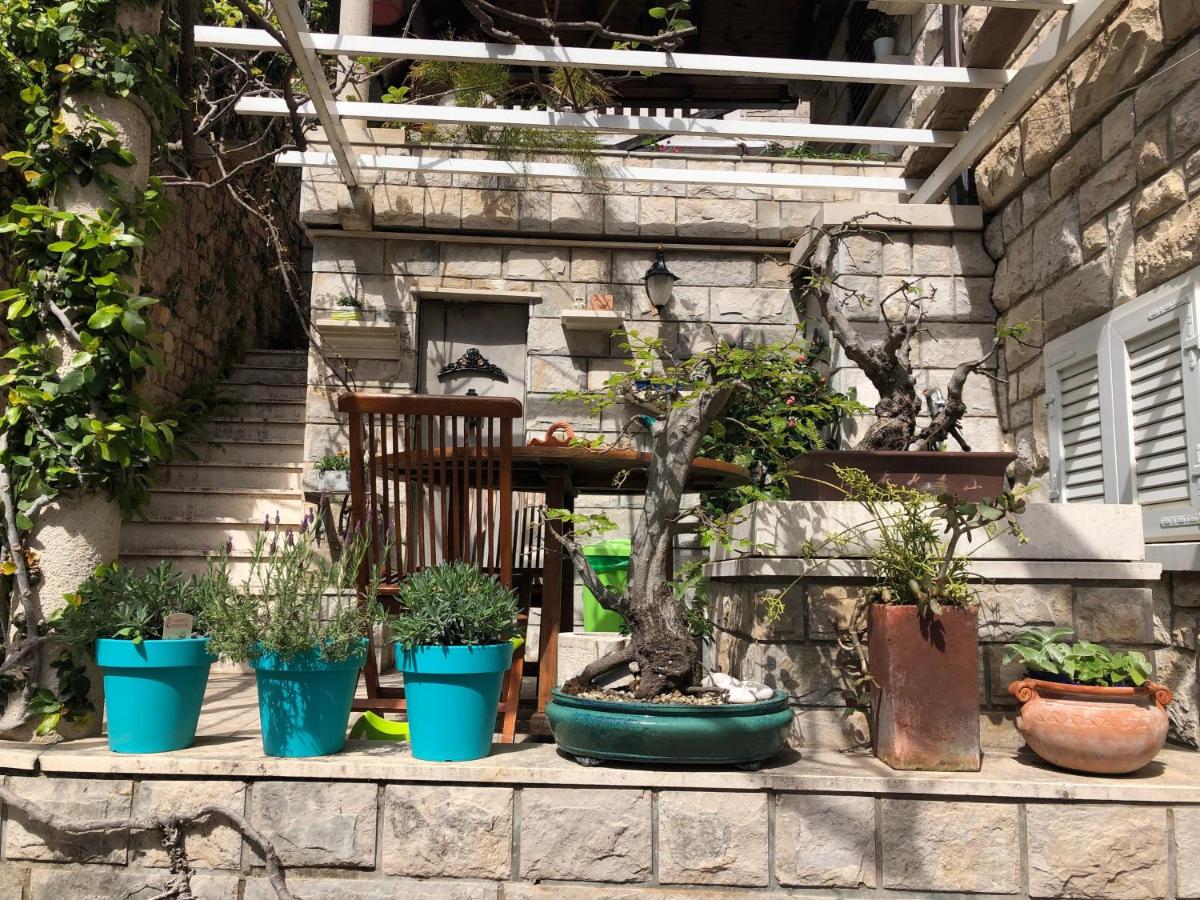 Flower House - Lapad - B&B Ragusa