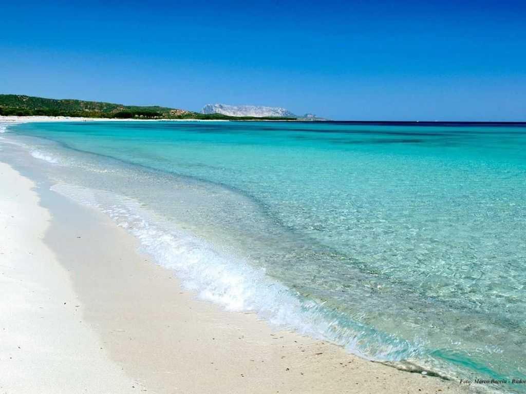 VILLA INDIPENDENTE AL MARE BUDONI - B&B