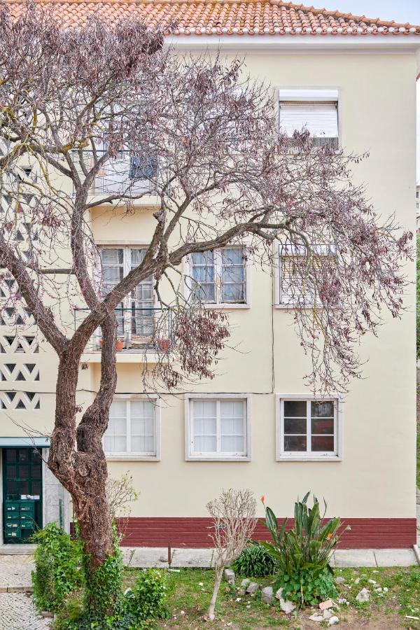 Sunny Renovated Apt With AC, By TimeCooler - B&B Lisboa