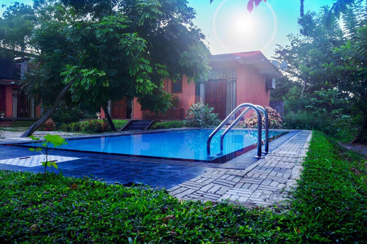 Thammenna Eco Cabins - Chambres d’hôtes Dambulla