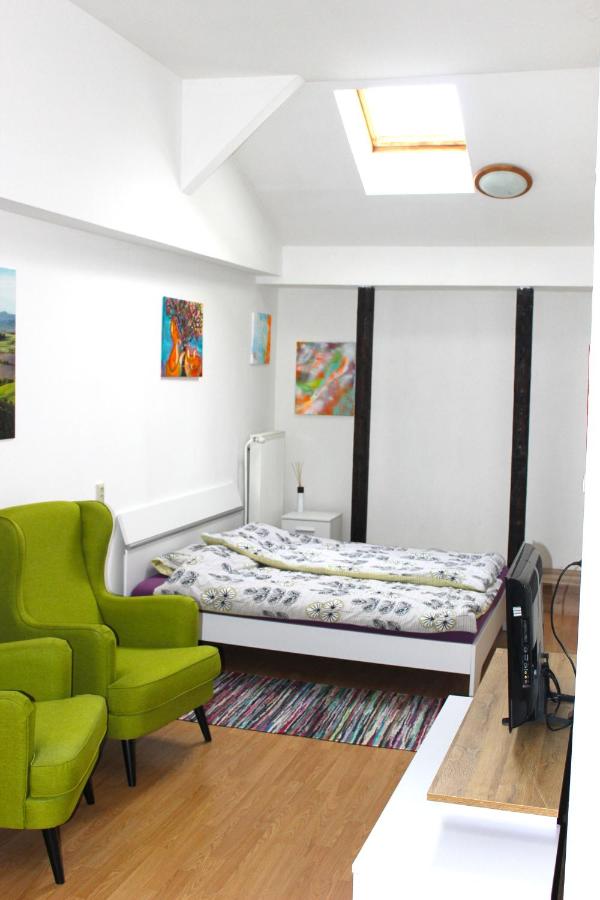 Priestranný apartmán v centre mesta - B&B Trenčín