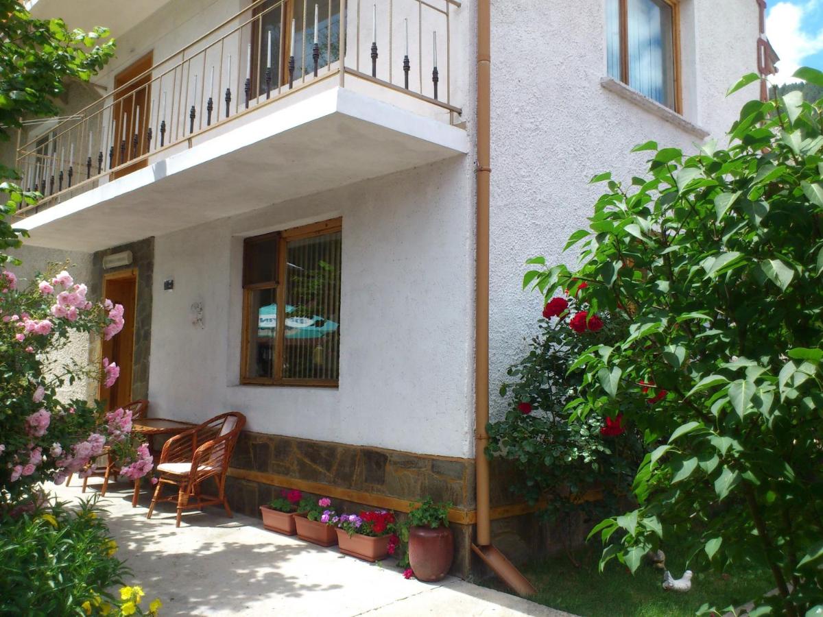 Guest House Stoletnika - Bed and Breakfast