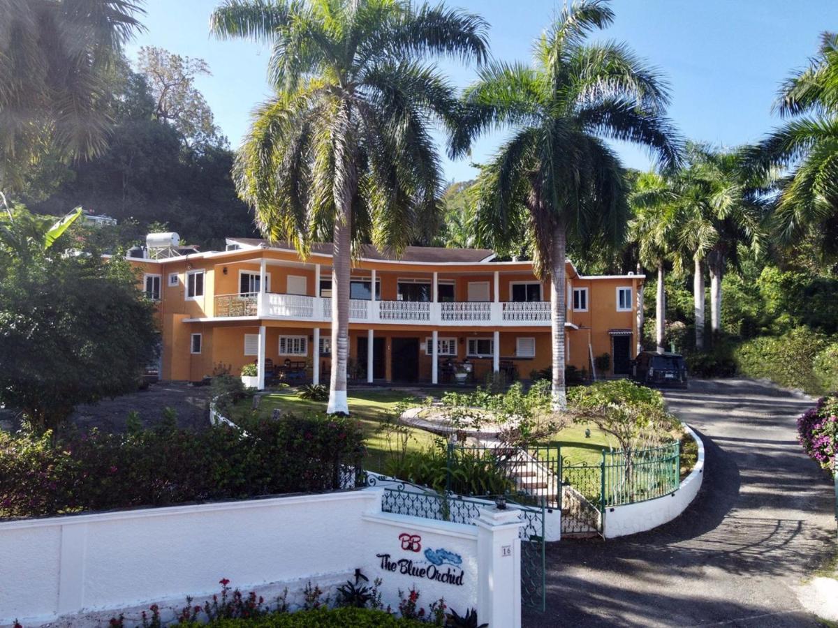 The Blue Orchid B&B - B&B