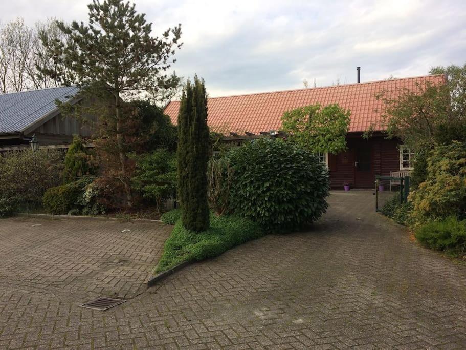 Tanja's Guesthouse Kootstertille - B&B