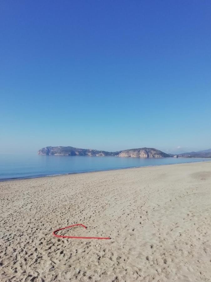 Olivia - B&B Marina di Camerota