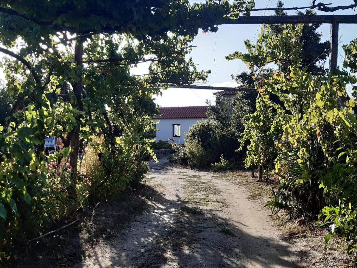 Casa em Resende com Vista Para o Rio Douro - Chambres d’hôtes Resende