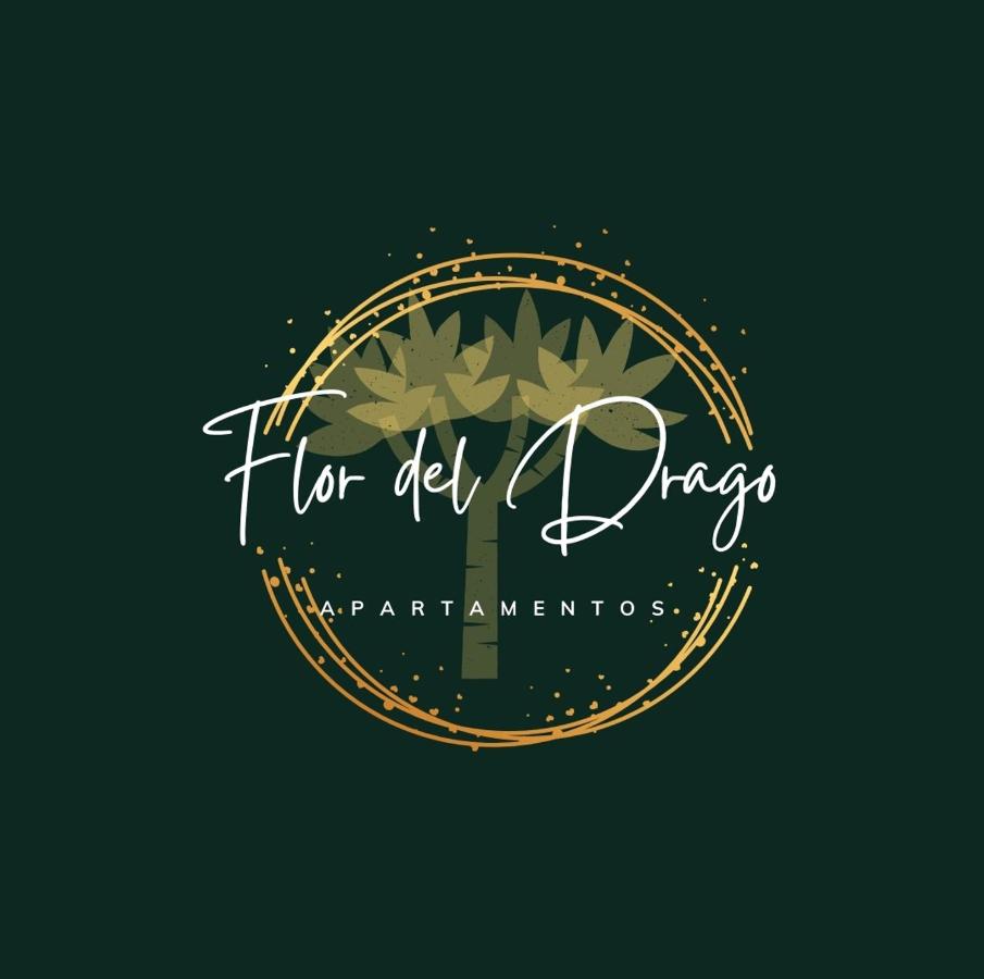 Flor del Drago - Ferienwohnung Icod de los Vinos