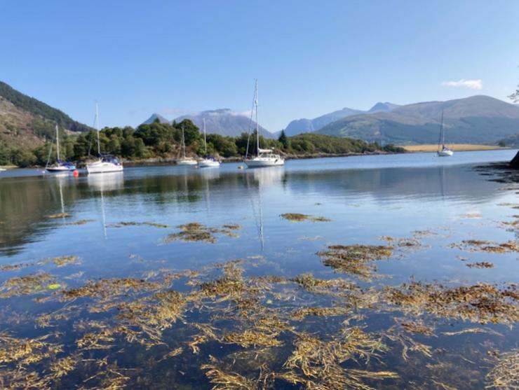The Fox's Den, Luxury Cosy Mini Lodge, Highlands - Ferienwohnung