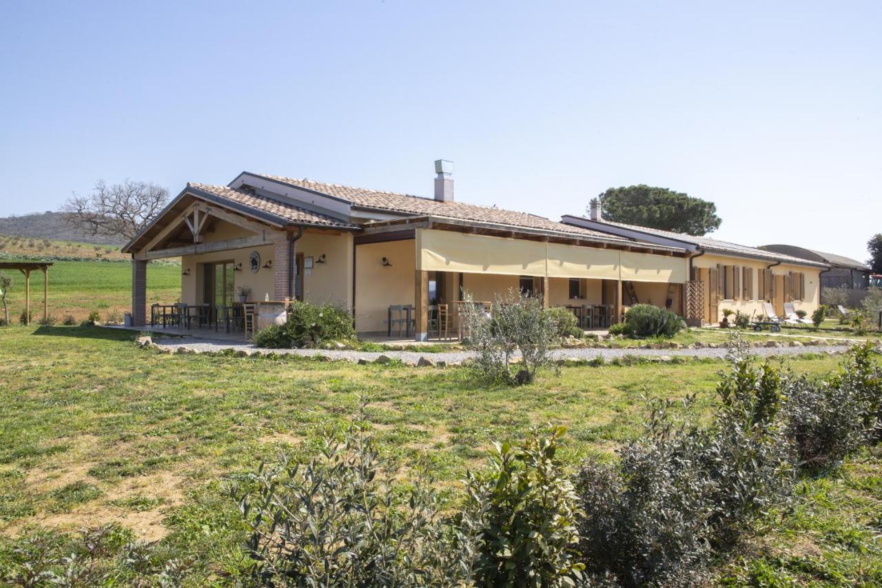 Agriturismo Casa Ricci - Ferienwohnung