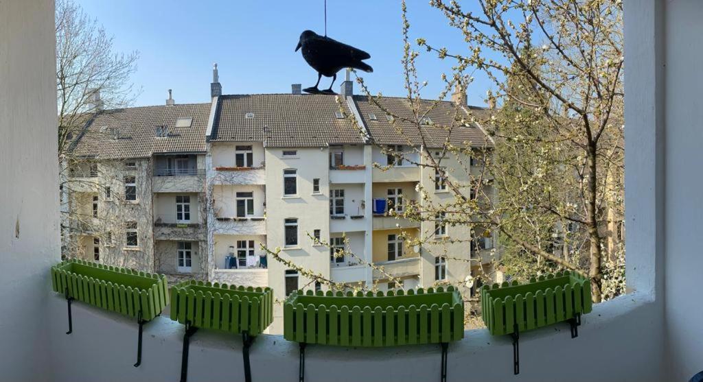 Alles was man braucht, 1-Zimmer Wohnung - B&B