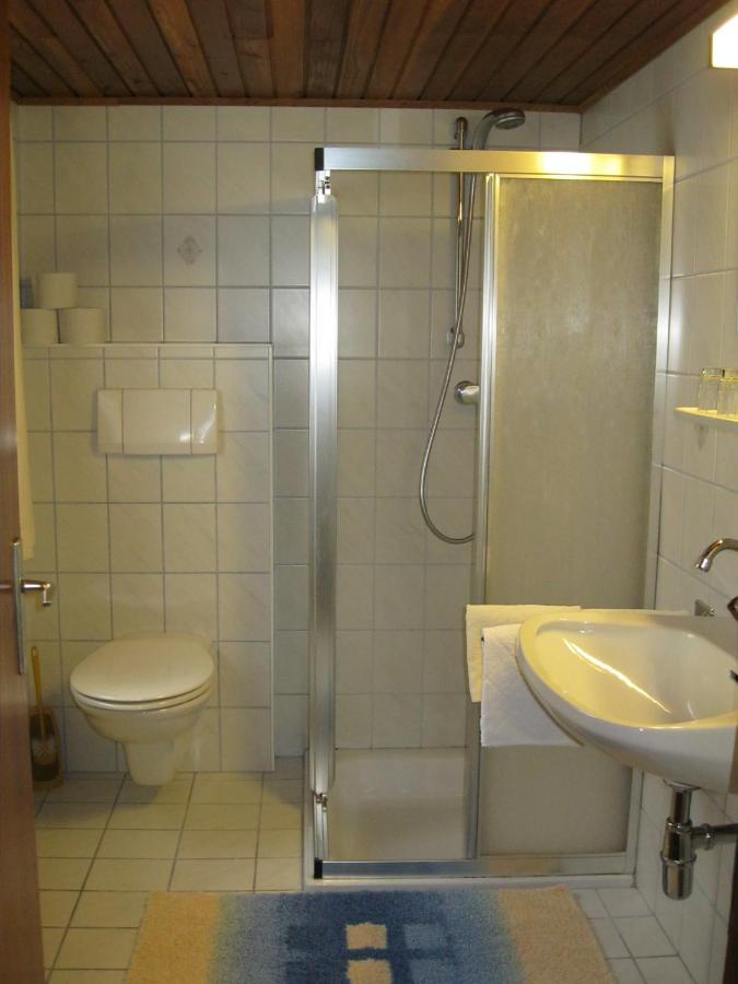 One-Bedroom Apartment with Balcony or Terrace