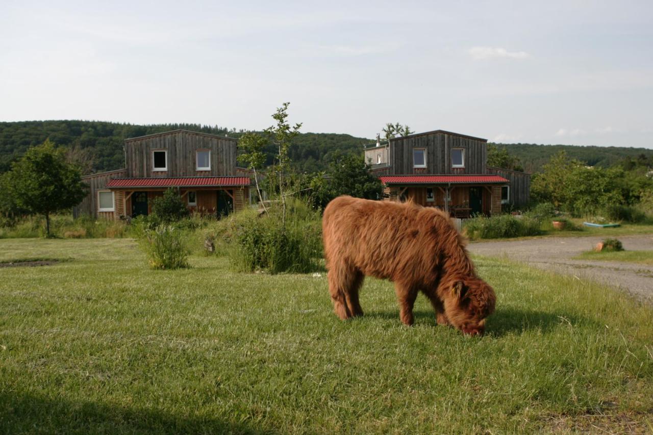 Rech Hof Urlaub auf dem Bauernhof - B&B Schalkenbach