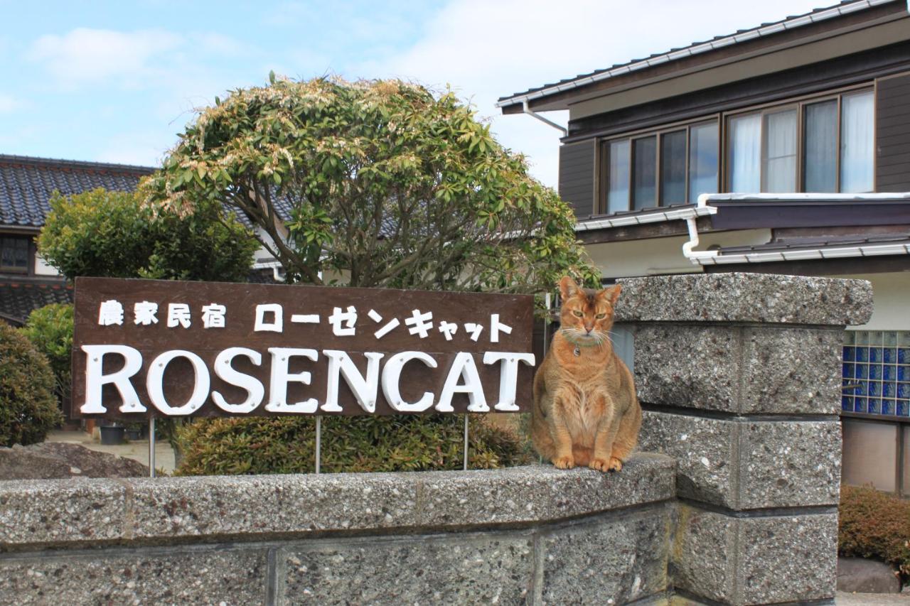 Rosencat - Ferienwohnung