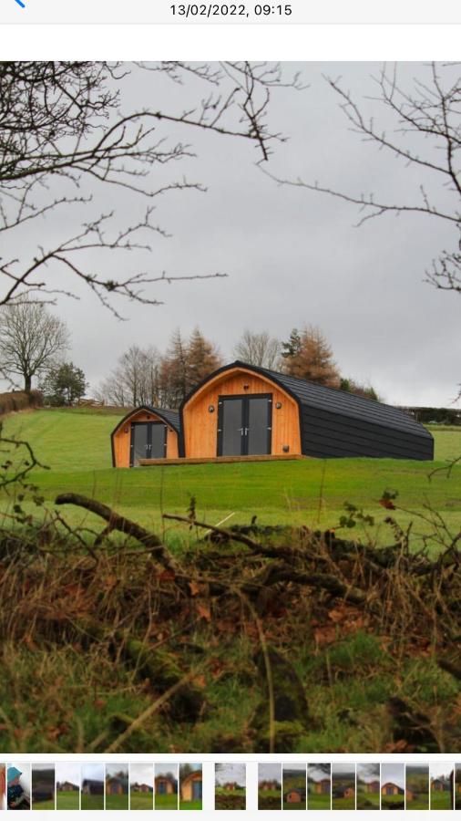 Fox's Den - Ferienwohnung Bathgate