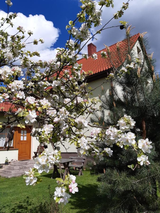 Haus mit 2 Schlafzimmern