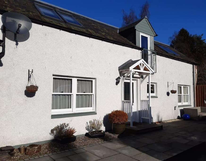 B&B Blairgowrie - Pinewood Cotage - Country Walks and Relaxation - Bed and Breakfast Blairgowrie