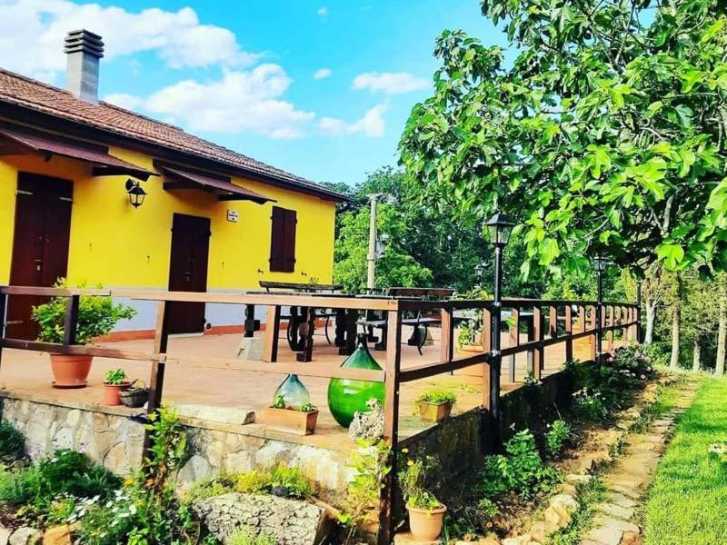 Rifugio La Foresta - B&B Montioni Allumiera