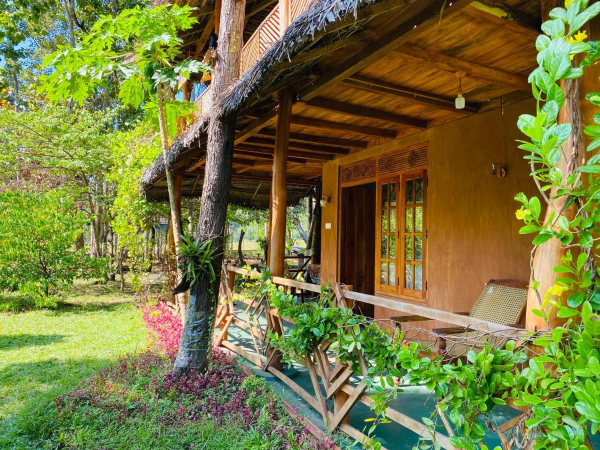 Sigiri Lion Eco Palace - B&B