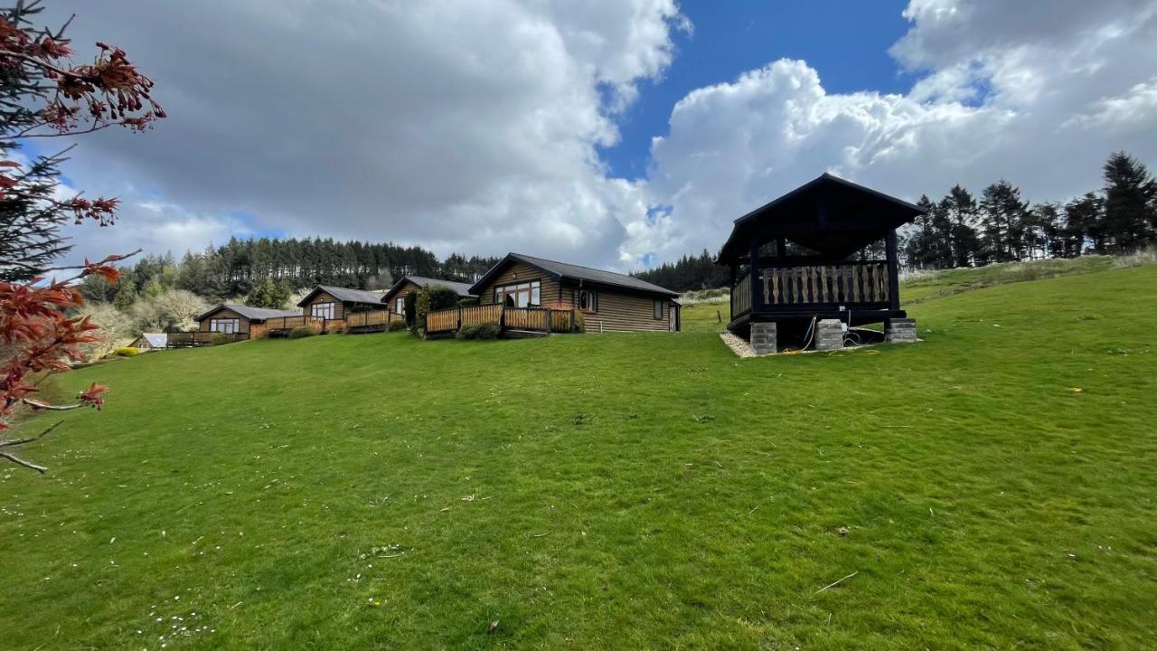 Bryn Bettws Lodge - B&B Port Talbot
