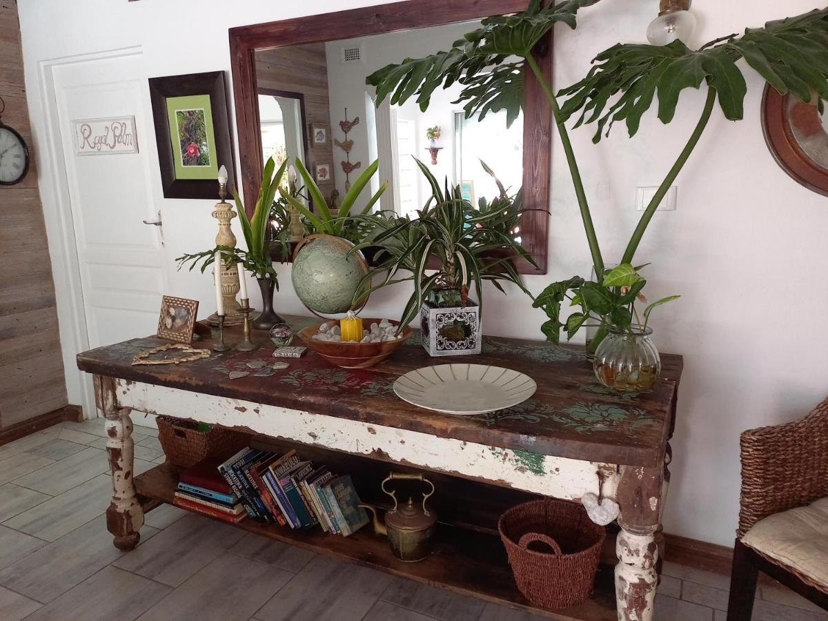Royal Palm Suite, Villa Roc Guesthouse, Salt Rock Ballito, Solar Power - B&B