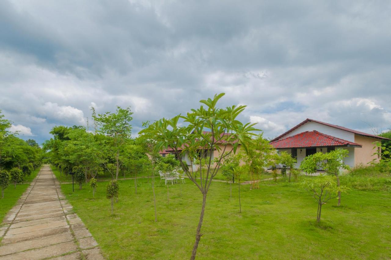 TULI VEER BAGH RESORT TURIA - B&B Khawāsa