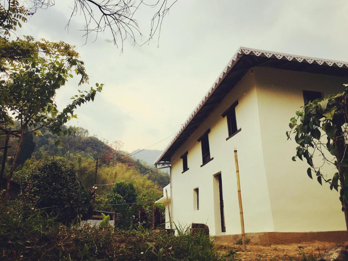 Quo Vadis Farm - B&B Bara Māngwa