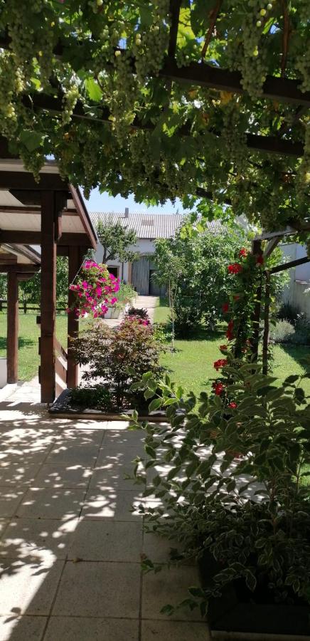 Ferienwohnung Maks und Kris - Chambres d’hôtes Sankt Andrä am Zicksee