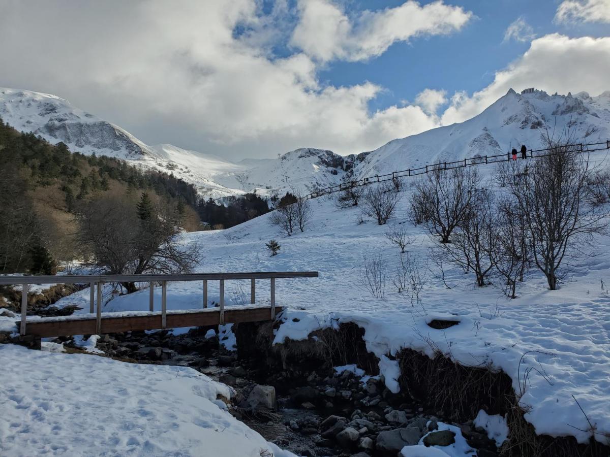 Bel appartement spacieux 44m² à SUPER BESSE pour 6 personnes - B&B Super Besse