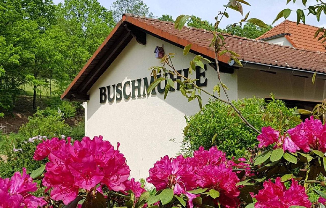 B&B Königsfeld - Biohof Buschmühle - Bed and Breakfast Königsfeld