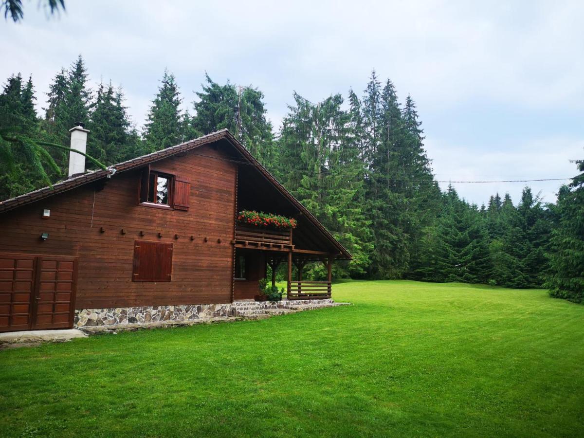 Casa de Vacanta Dintre Brazi - B&B Topliţa