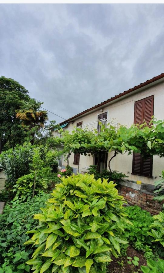 Apartman LAMI - B&B