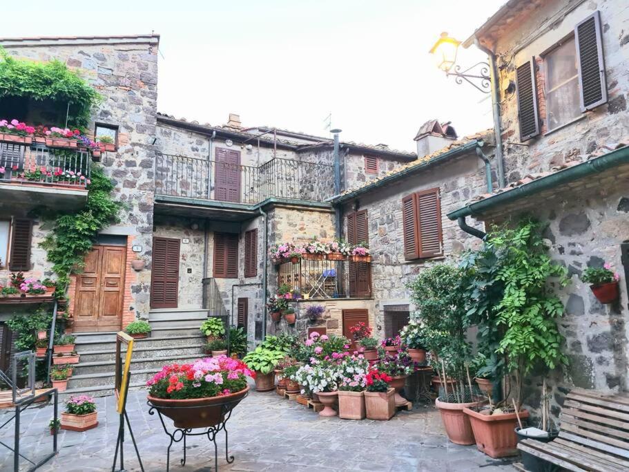 Flat Ghino di Tacco historical centre Radicofani - B&B