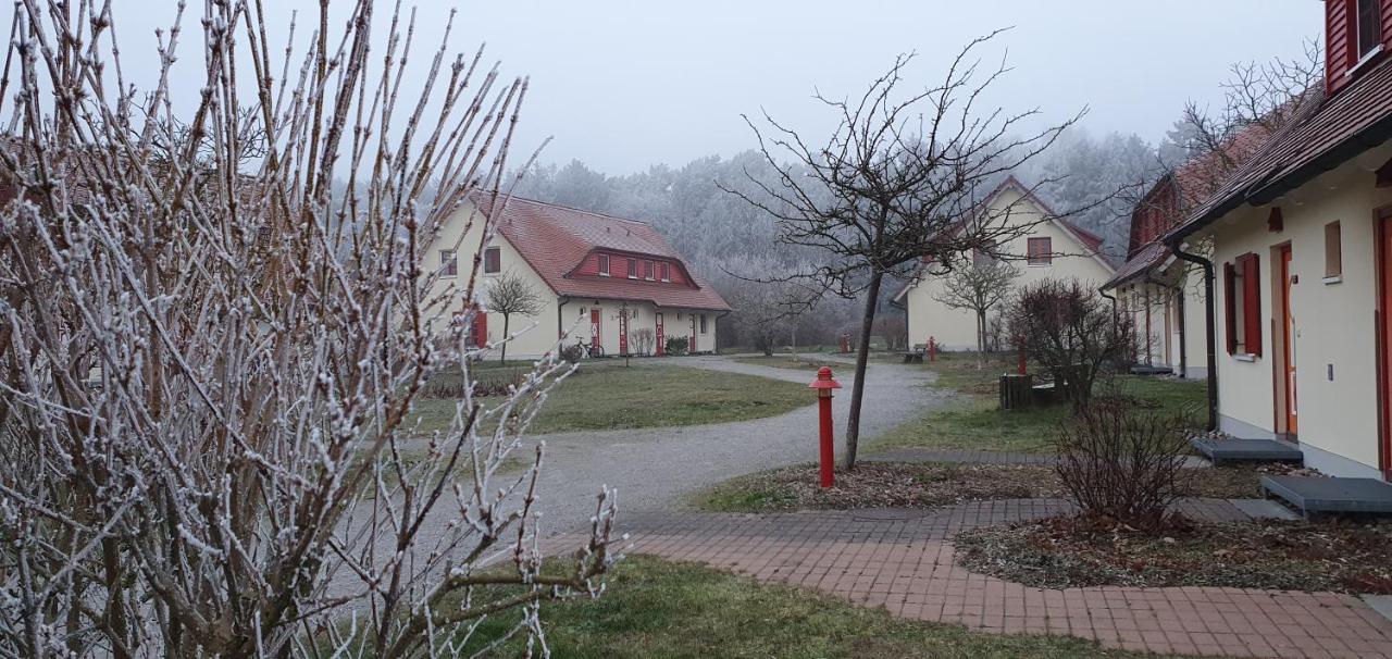 Kleine strandnahe Ferienwohnung auf dem Bakenberg Insel Rügen - Chambres d'hôtes Dranske