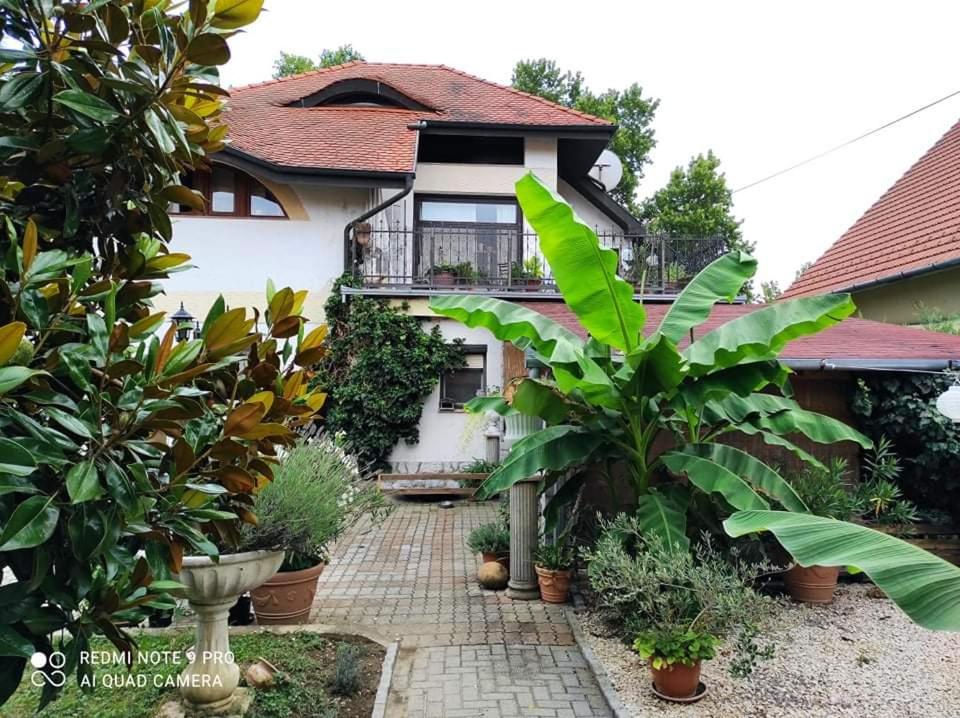 B&B Harkan - Lavendel Apartman - Bed and Breakfast Harkan