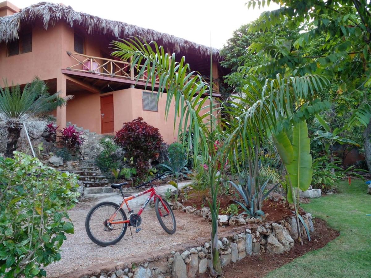 La Casa Del Arbol - B&B Las Galeras