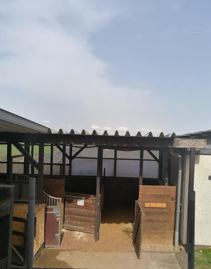 Schönes Appartement " Die Ponybude" auf unserem Reiterhof - Chambres d'hôtes Birkenbeul