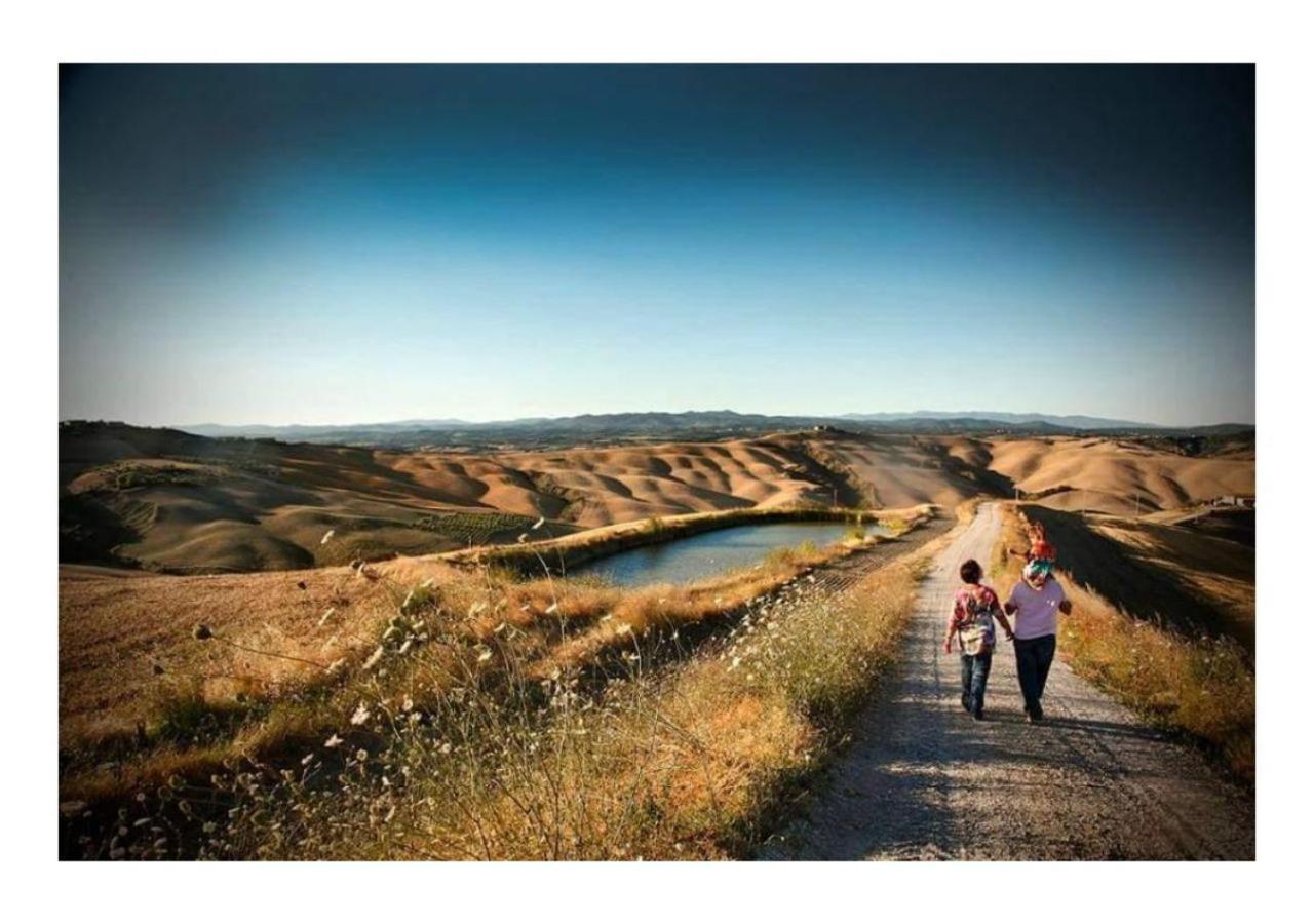 Agriturismo Le Crete - Appartamenti - B&B Asciano