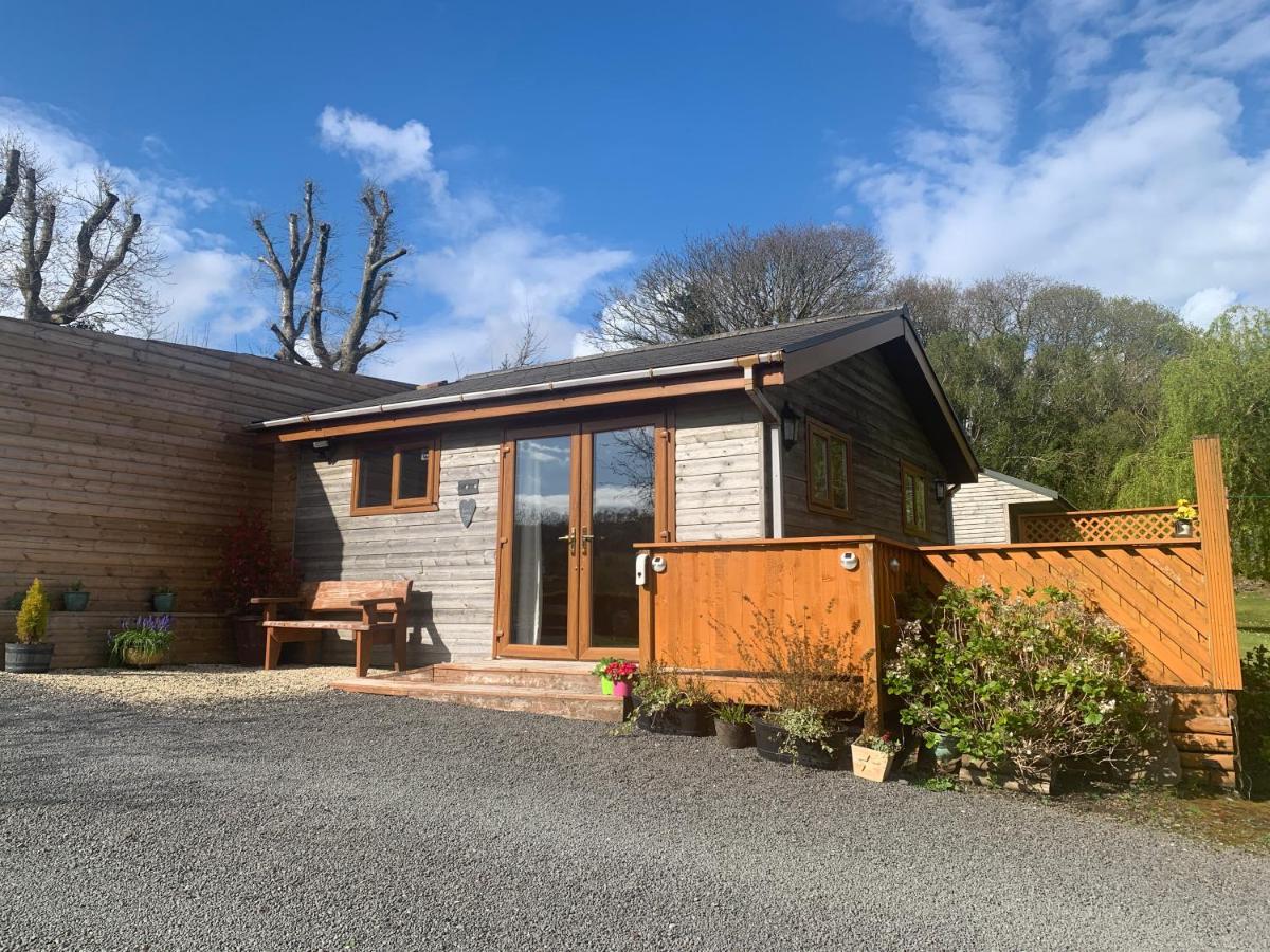 Swansea Log Cabin - B&B