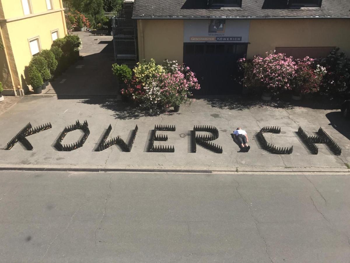 Weinloft "1" Design trifft Wein! Urlaub auf dem Weingut mit Ladestation E10 - Bed and Breakfast Köwerich