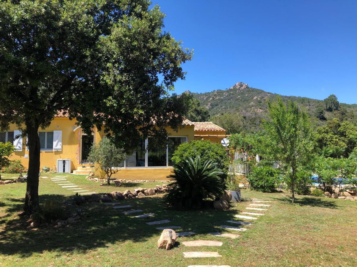 Studio à Porto-Vecchio chez Pierre - Chambres d’hôtes