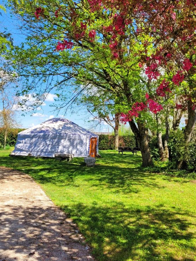 L Amalia au cœur des Châteaux de la Loire et du zoo de Beauval - B&B