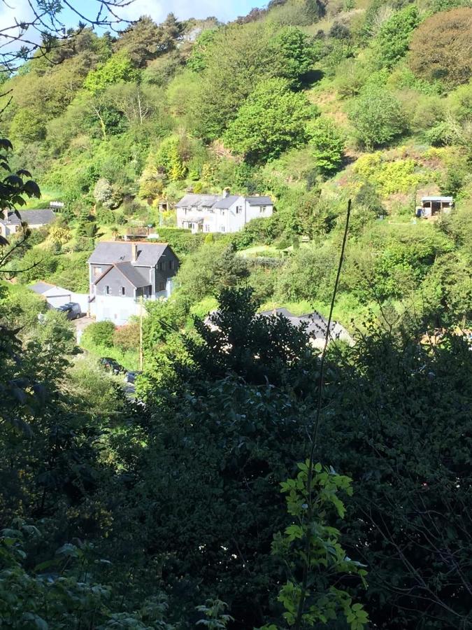 B&B Ilfracombe - Woodland View Apartment - Bed and Breakfast Ilfracombe