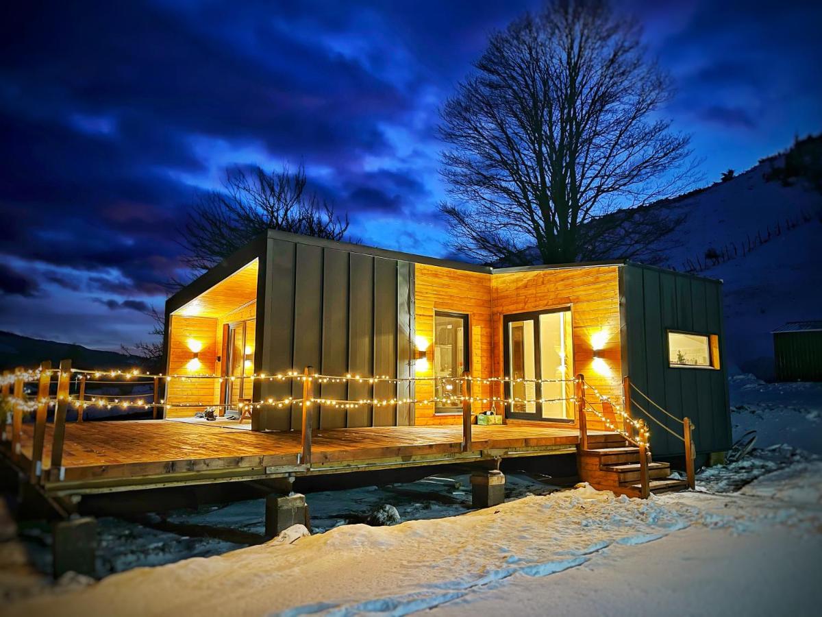 Sycamore Retreat Fundata - Bed and Breakfast