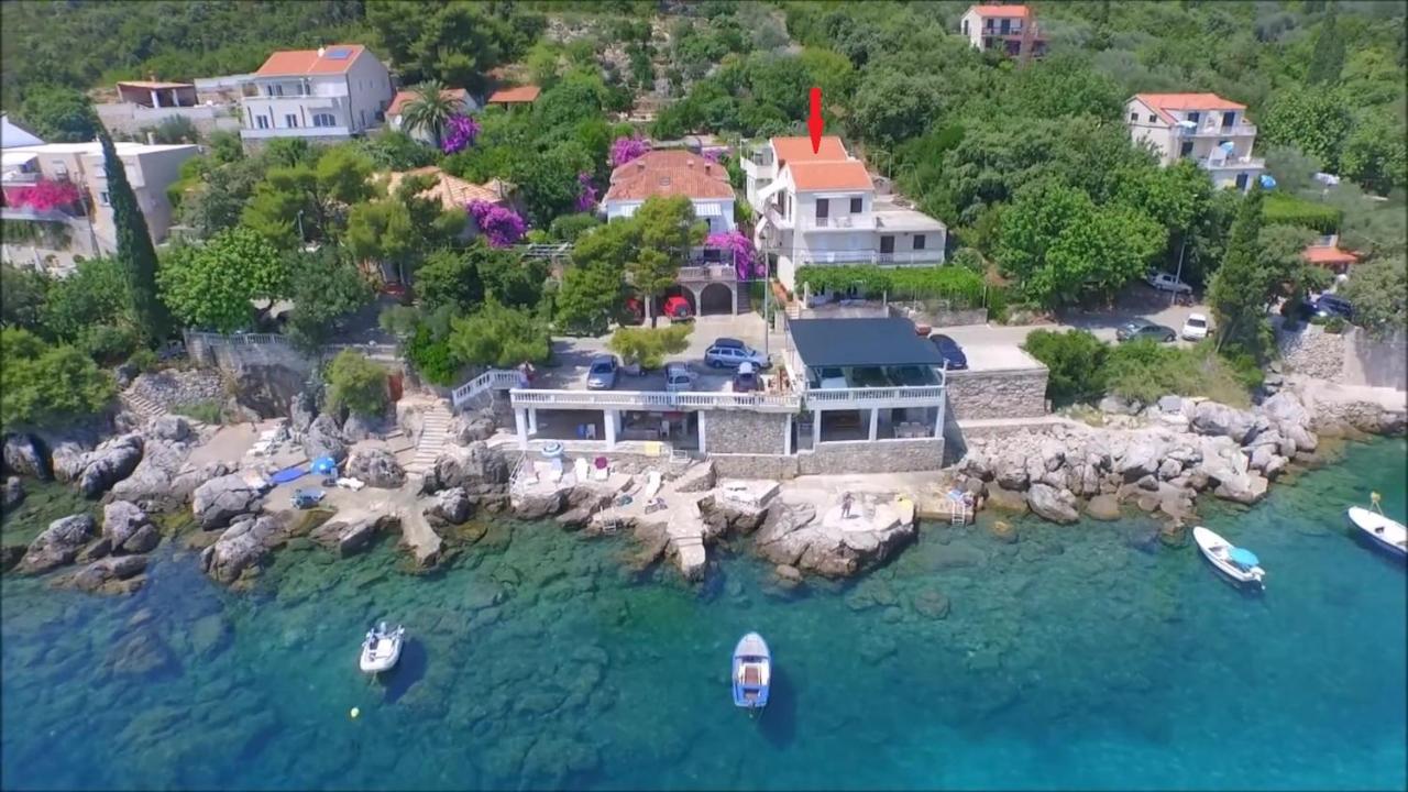 Apartments Miovic - B&B Molunat