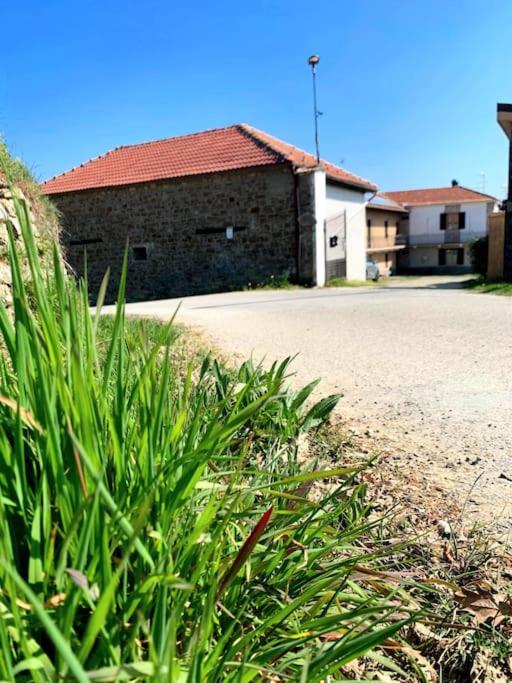 Il Galletto Selvatico di case Mussa - Langhe - B&B Ponti