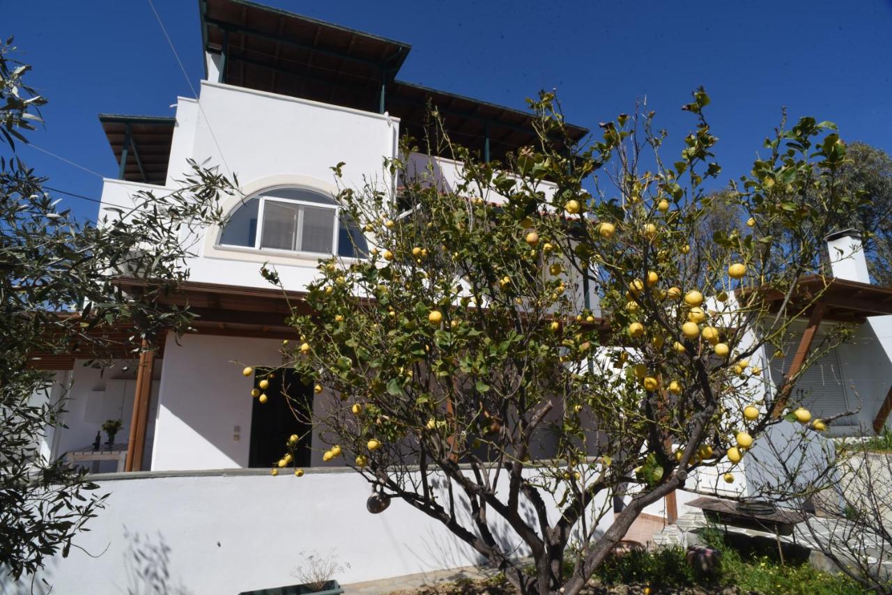 Bernie House - Bed and Breakfast