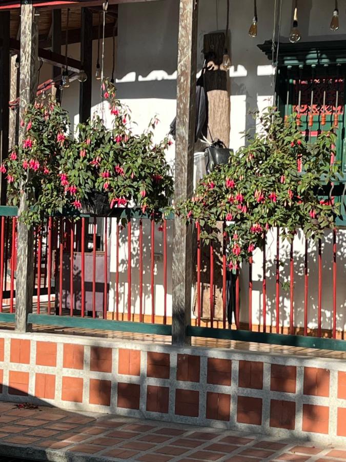 Finca Campestre La Adelita B&B - B&B Salento