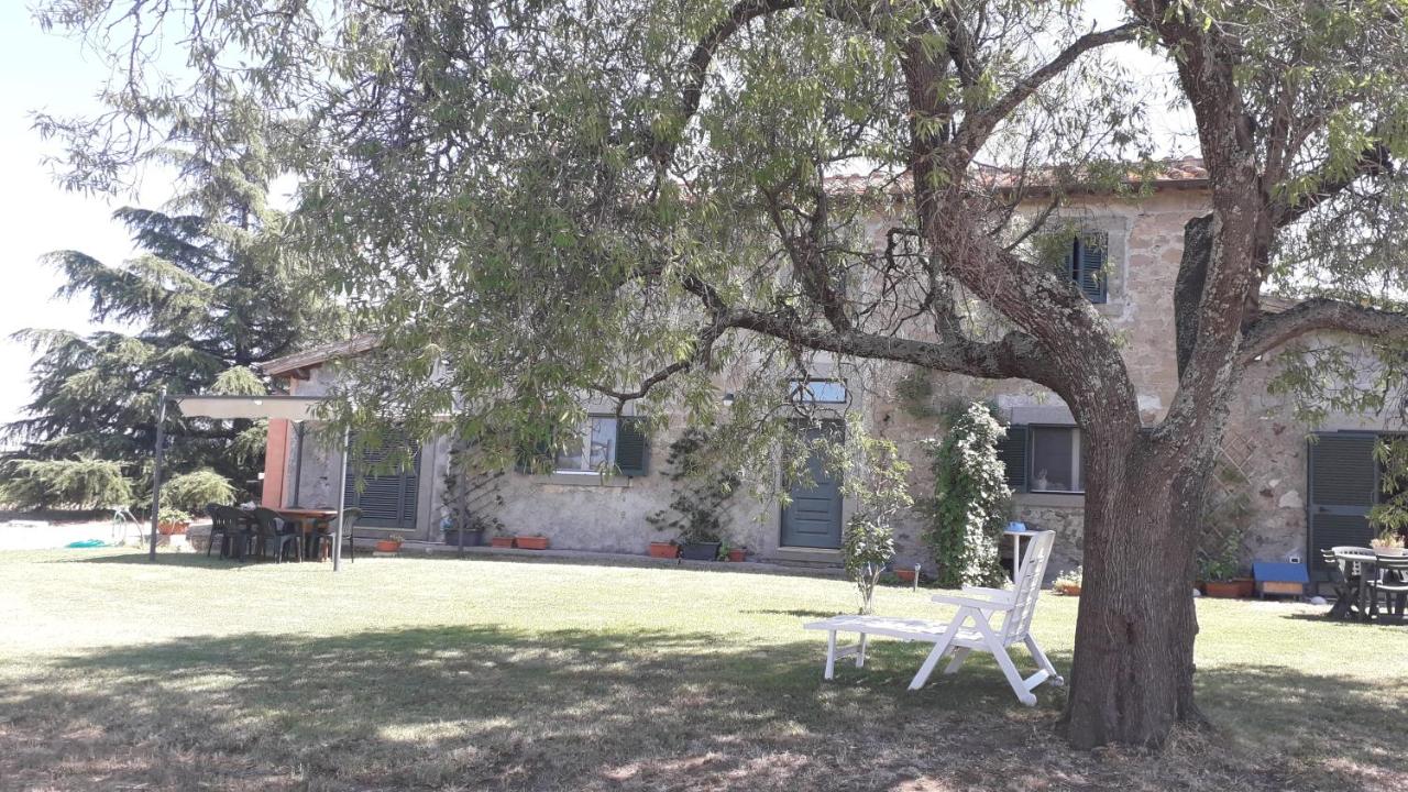 B&B Viterbo - Casolare di campagna - Bed and Breakfast Viterbo