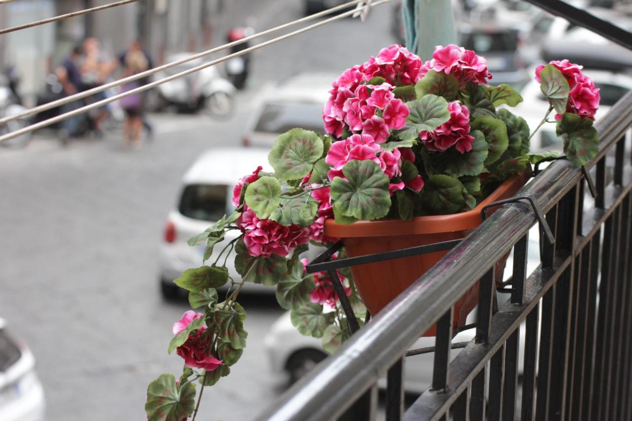 Napoliviva Bovio - B&B Napoli