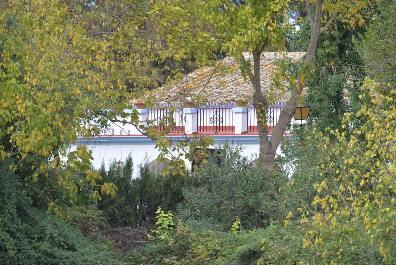 La Casa del Valle . Descansar junto a Doñana en plena naturaleza. - Chambres d'hôtes Manzanilla